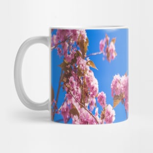 Pink Flowers pattern Mug